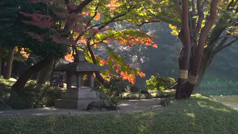 Revelación-De-Hermosos-Paisajes-Dentro-Del-Jardín-Paisajista-Japonés-En-Otoño