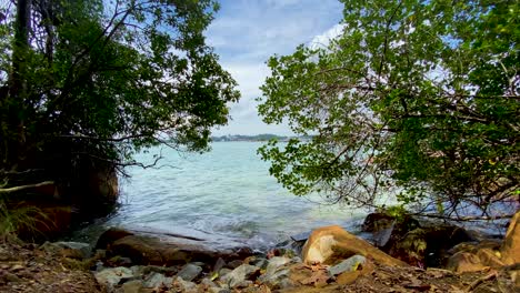 Picturesque-View-Of-Tanjong-Chek-Jawa-Wetlands-In-Pulau-Ubin,-Mainland-Of-Singapore