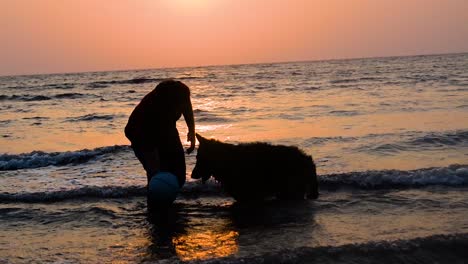 Perro-Pastor-Alemán-Y-Dueño-Jugando-En-La-Playa-En-El-Fondo-De-La-Silueta-De-Mumbai-Con-Una-Hermosa-Puesta-De-Sol-En-El-Fondo