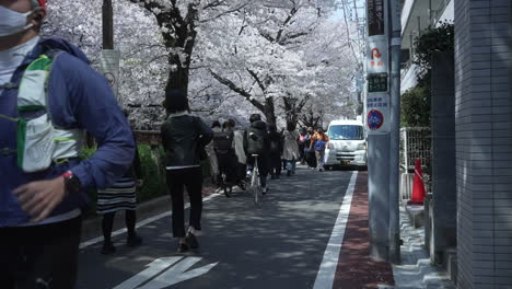 Hombre-Enmascarado-Trotando-En-La-Acera-Bajo-Los-árboles-De-Sakura-En-Plena-Floración-Durante-La-Pandemia