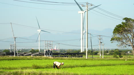 Szene-Mit-Arbeiter-Im-Reisfeld,-Windkraftanlagen-Im-Hintergrund