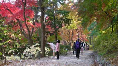 Coreanos-Con-Máscaras-Que-Viajan-En-El-Parque-De-Otoño---Jardín-Del-Palacio-Changgyeonggung,-Seúl,-Corea-Del-Sur