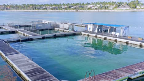 Dolphin-pool-island-park-floating-on-sea-water-and-one-man-standing-at-work,-Punta-Cana-in-Dominican-Republic