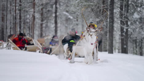 La-Gente-En-Un-Trineo-De-Renos-Disfruta-Del-Paseo-En-El-Paisaje-Del-Bosque-Cubierto-De-Nieve-En-Muonio,-Laponia,-Finlandia