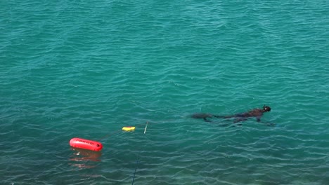 Snorkeler-swims-on-the-surface-of-the-ocean-with-the-help-of-a-buoy