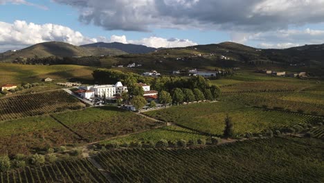 Vista-Aérea-De-Quinta-Da-Pacheca-El-Lujoso-Hotel-Wine-House-En-Lamego,-En-El-Corazón-De-La-Región-Del-Duero,-Está-Rodeado-De-Extensos-Terrenos-Privados-Con-Viñedos