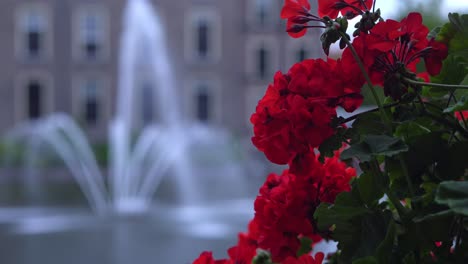 View-at-Buitenhof-of-Hofvijver-fountain-with-flowers-in-foreground-in-Dutch-city-Den-Haag-on-a-cloudy-day