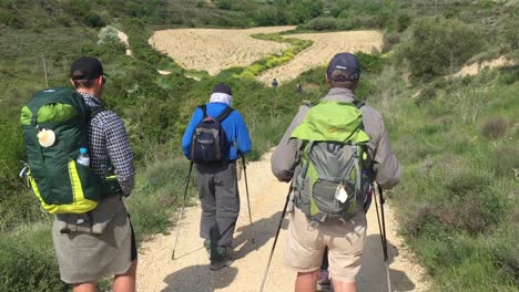 Camino-De-Santiago