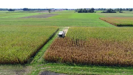 Toma-Aérea-En-Cámara-Lenta-De-4k-De-Maíz-Cosechado-Por-Una-Gran-Cosechadora-Al-Mediodía-En-Campos-Agrícolas-En-Baviera,-Alemania