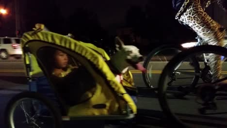 Fotografía-Panorámica-En-Movimiento-Nocturno-De-Un-Niño-Pequeño-Y-Un-Perro-Montando-En-Un-Remolque-De-Bicicleta-Siendo-Remolcado-Por-Una-Bicicleta-De-Montaña-Con-Otros-Ciclistas-En-Segundo-Plano.