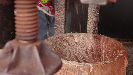 Apple-mash-falling-into-mesh-barrel-with-cider-press-out-of-focus-in-foreground