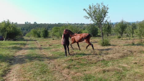 La-Niña-Le-Está-Enseñando-A-Un-Caballo-Joven-A-Caminar-En-Círculo,-Una-Larga-Toma-De-Seguimiento---Bulgaria