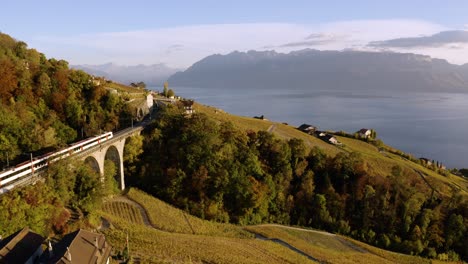 Toma-Aérea-Volando-Junto-Al-Viejo-Viaducto-Del-Ferrocarril-Con-El-Cruce-Del-Tren-Suizo