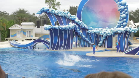 Dos-Delfines-Realizan-Volteretas-Simultáneas-En-Un-Espectáculo-En-Seaworld-Orlando