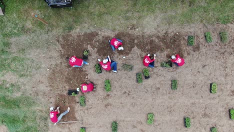 Vista-Aérea-De-Los-Voluntarios-De-United-Way-Que-Realizan-Trabajo-Comunitario-Caritativo