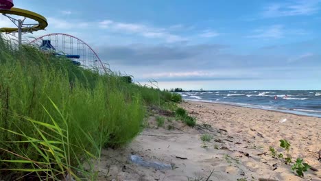 Gestorbener-Fisch-Am-Strand-Von-Cedar-Point-Mit-Blick-Auf-Den-Wasserpark-Cedar-Point-Mit-Wasserrutschen-Und-Büschen