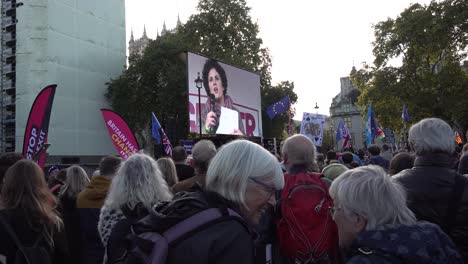 Menschen-Hören-Sich-Reden-Bei-Den-Protesten-Zur-Volksabstimmung-In-London,-Großbritannien,-An