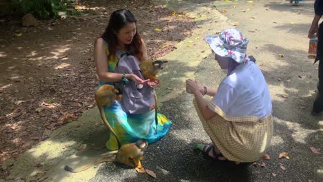 Two-Ladies-Feeding-Black-Capped-Squirrel-Monkeys-In-A-Zoo