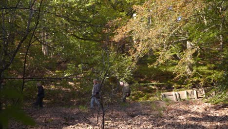 Drei-Männliche-Wanderer-Gehen-Zusammen-Im-Wald-Spazieren