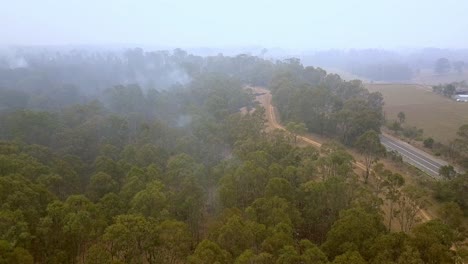 Vista-Aérea-Del-Bosque-De-árboles-De-Eucalipto-En-Llamas-Durante-El-Incendio-Forestal-Cerca-De-La-Ciudad-De-Sydney,-Sobrevuelo-De-Drones-Disparado-Con-Inclinación-Hacia-Abajo