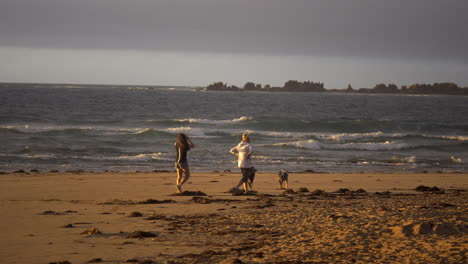 Dos-Hembras-Pasean-A-Sus-Perros-En-Una-Playa-Al-Amanecer