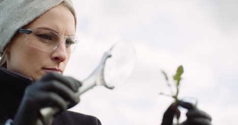 Close-Up-Of-Female-Agronomist-Examining-Damaged-Plant-Through-Magnifying-Glass