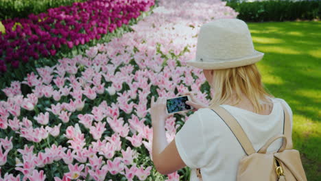 Mujer-Tomando-Fotos-Tulipanes-Rosados