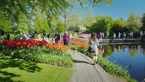 Turistas-Viendo-Tulipanes-En-Los-Países-Bajos