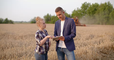 Landwirt,-Der-Weizenernten-In-Händen-Untersucht,-Während-Er-Ein-Digitales-Tablet-Verwendet