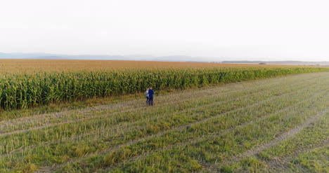 Jóvenes-Agricultores-Discutiendo-En-El-Campo-De-Maíz-Agricultura-17