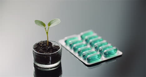 Panning-Shot-Of-Potted-Plant-By-Capsules-Packet-On-Table