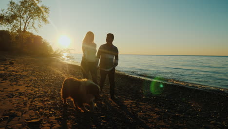 Paar-Geht-Bei-Sonnenuntergang-Mit-Einem-Hund-Spazieren