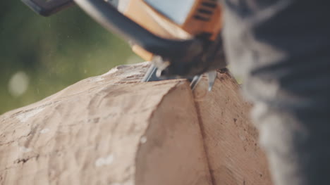 Man-Using-Chainsaw-And-Cutting-Wood-