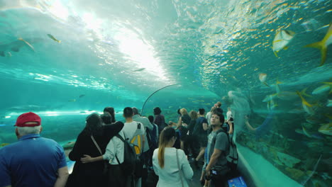 Visitantes-En-El-Túnel-Del-Tiburón-Acuario