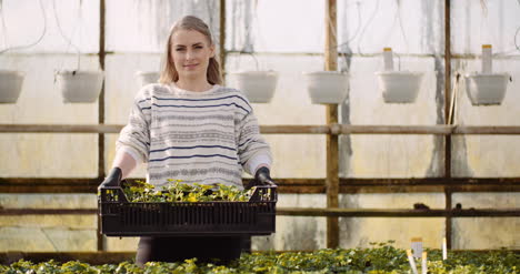 Female-Gardener-Working-With-Seedlings-In-Greenhouse-6