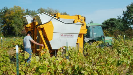 Landwirte-Mit-Mechanischen-Traubenvollernter