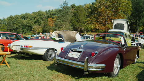 Autos-Clásicos-En-La-Exhibición-De-Autos-Al-Aire-Libre