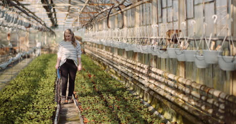 Female-Gardener-Working-With-Seedlings-In-Greenhouse-8