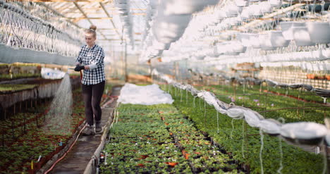 Agriculture-Gardener-Watering-Flowers-At-Greenhouse-4