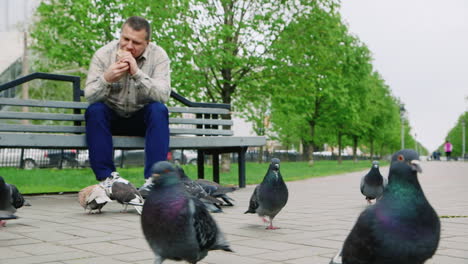 Mann-Mittleren-Alters,-Der-Im-Park-Tauben-Füttert
