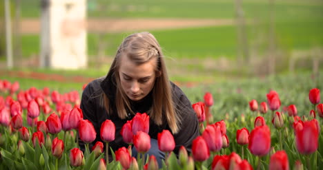 Female-Researcher-Walking-While-Examining-Tulips-At-Field-12