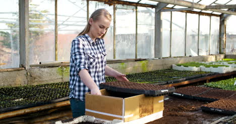 Young-Female-Botanist-Examining-Potted-Plant-8
