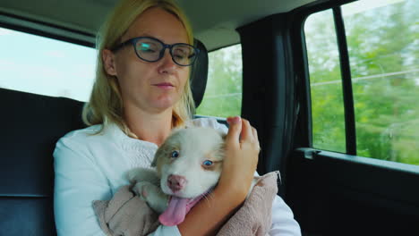 A-Road-Trip-With-A-Pet---A-Cute-Puppy-Is-Sitting-In-The-Arms-Of-A-Woman