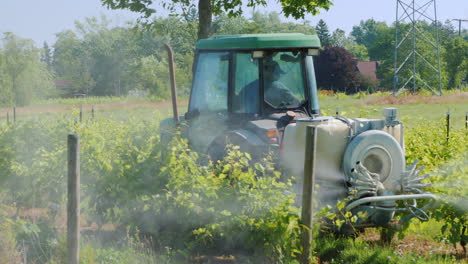 Work-In-The-Vineyard---A-Tractor-With-Special-Equipment-Sprinkles-The-Vine-With-Herbicides