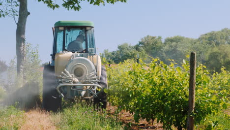 Traktor-Mit-Spezialausrüstung-Den-Weinberg-Mit-Herbiziden-Besprühen