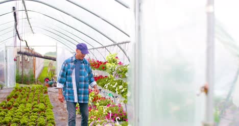 Gardener-Supervising-Plants-In-Greenhouse-6
