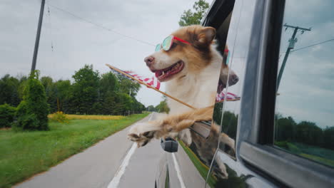 Fröhlicher-Hund-Mit-Sonnenbrille-Mit-Der-Flagge-Von-Amerika-Bei-Der-Feier-Zum-Tag-Der-Unabhängigkeit-Der-Pfote-In-Den-USA
