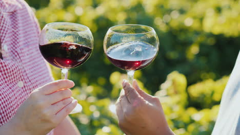 Zwei-Hände-Mit-Gläsern-Wein-Langsam-Rühren-Weintour