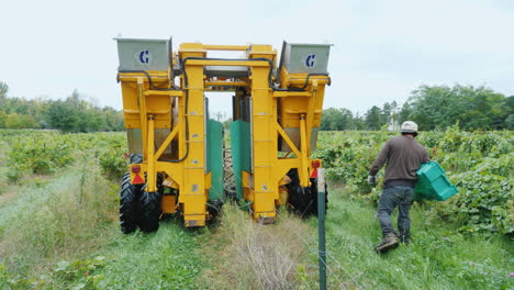 Workers-Go-For-A-Machine-That-Picks-Grapes-From-A-Vine