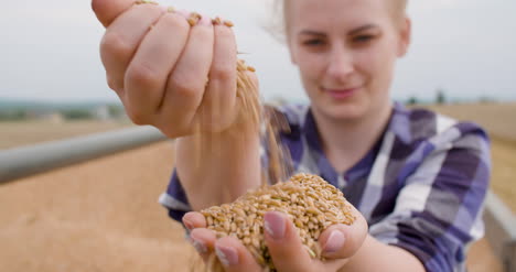 Wheat-Grains-In-Farmer-Hands-Agriculture-8